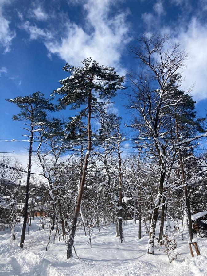 Hotel Seventh Heaven Hakuba Exterior foto
